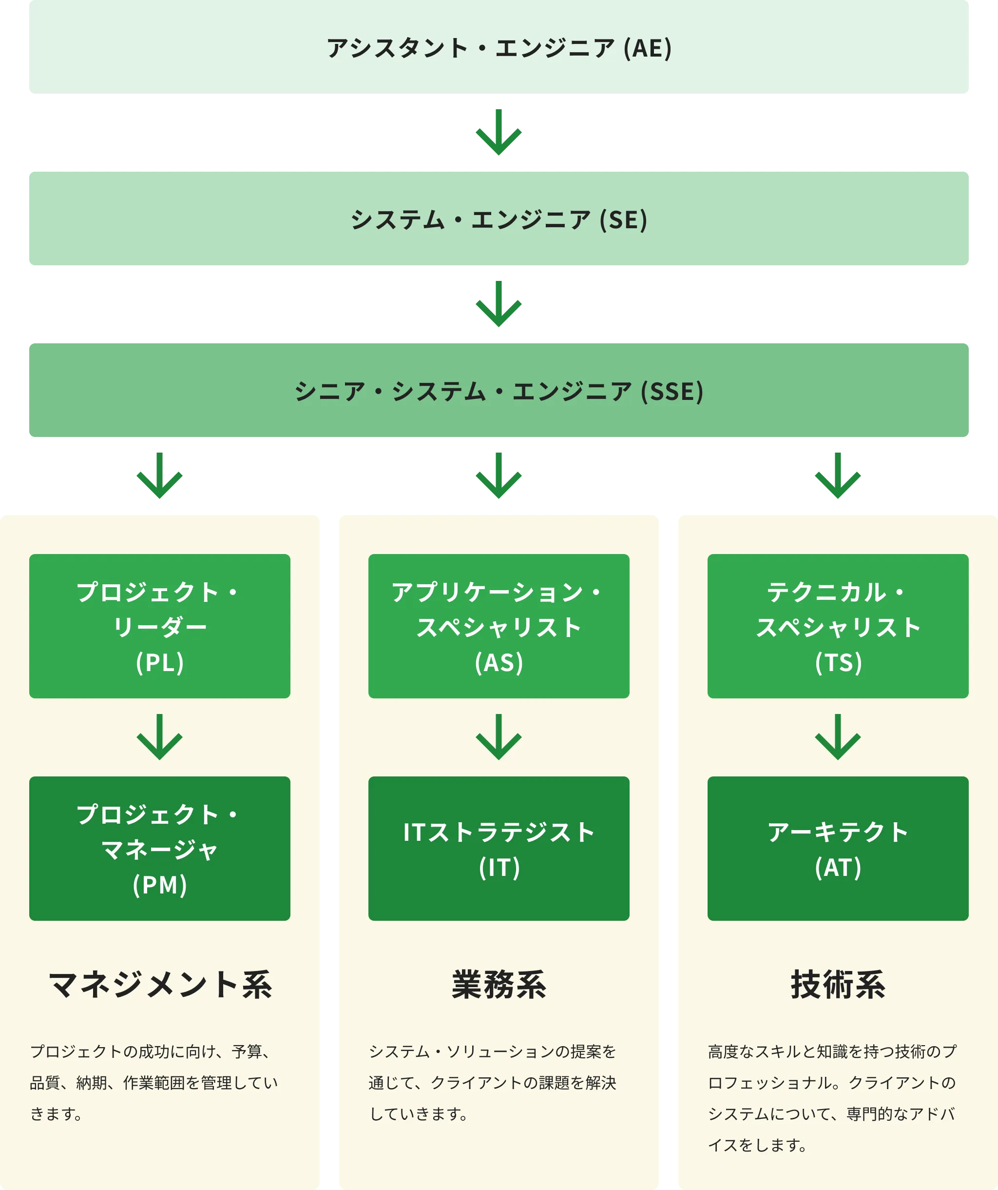 キャリアパス：アシスタント・エンジニア（AE）→システム・エンジニア（SE）→シニア・システム・エンジニア（SSE）から、マネジメント系・業務系・技術系の3つのキャリアパスに分岐